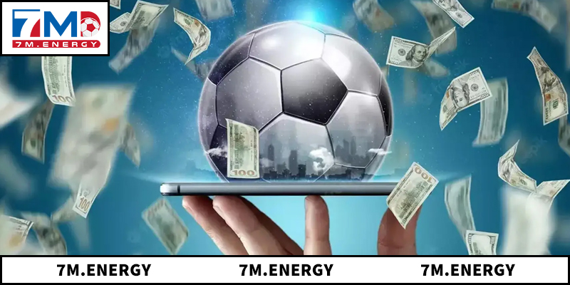 Tổng quan về hệ thống livescore